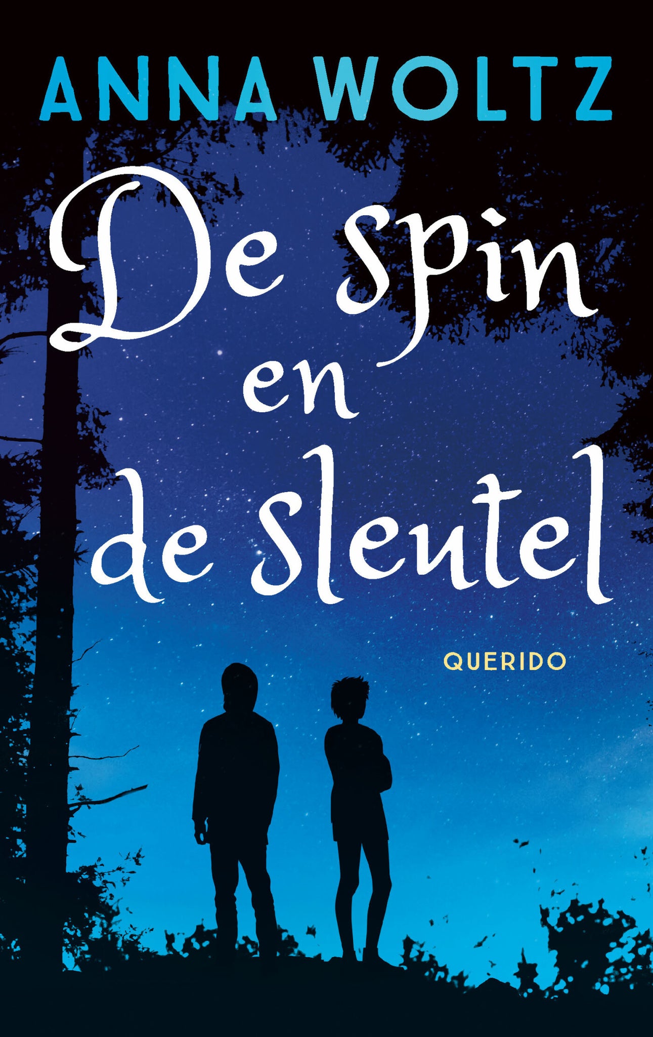 De spin en de sleutel