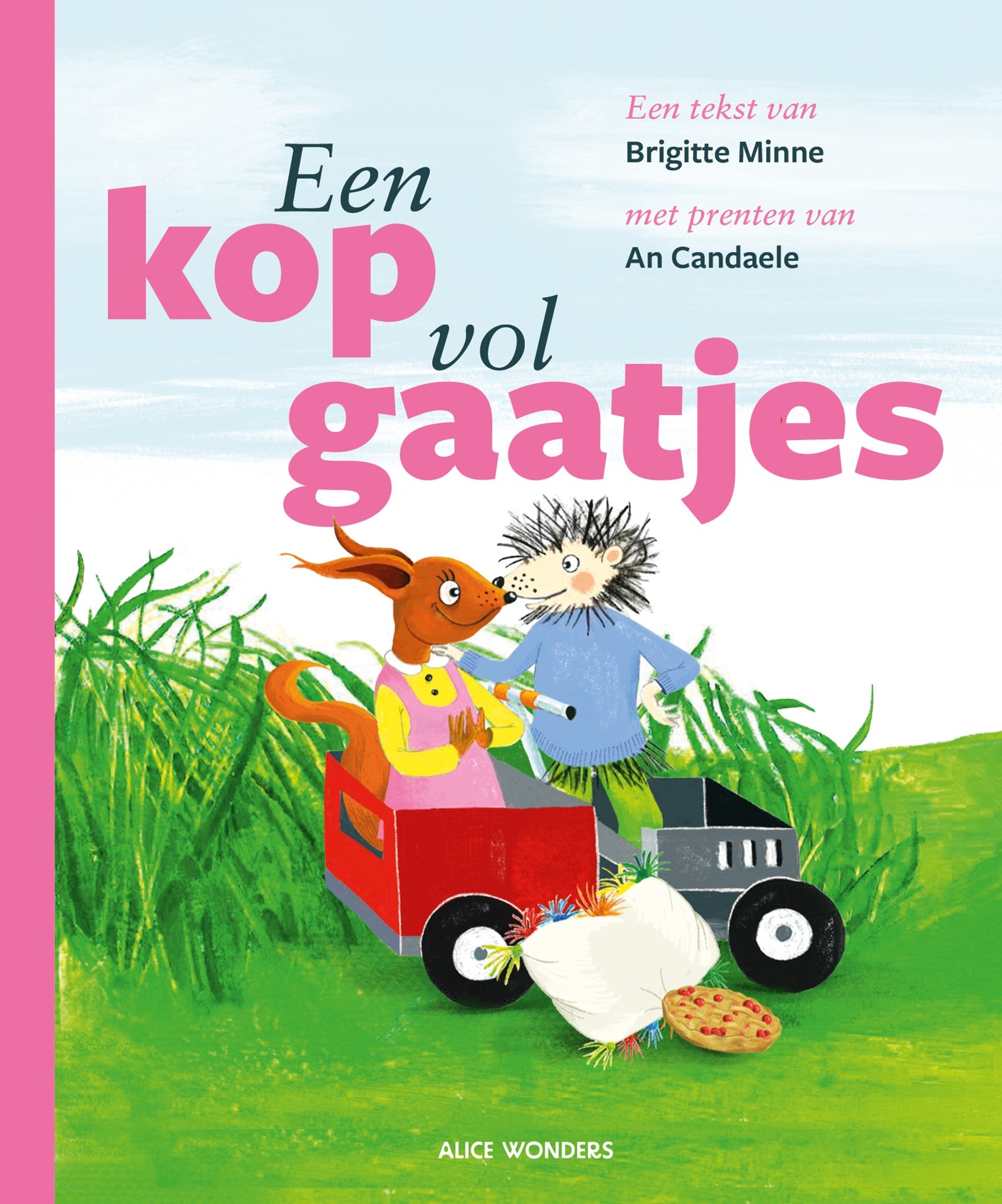 Een kop vol gaatjes