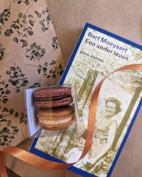 MOEDERDAGPAKKET: 'Een ander leven' door Bart Moeyaert + macarons van Joost Arijs